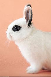 《怪物火车2》发售日预告 5月21日发售